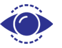 Vision